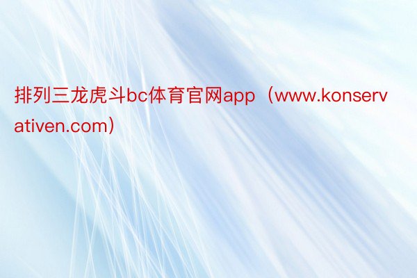 排列三龙虎斗bc体育官网app（www.konservativen.com）